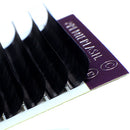 Single C Curl Lash Trays